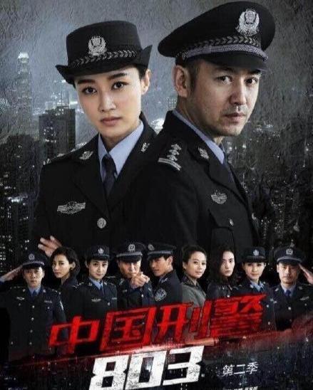 电视剧中国刑警803在线观看,揭秘罪案背后的真相  第2张